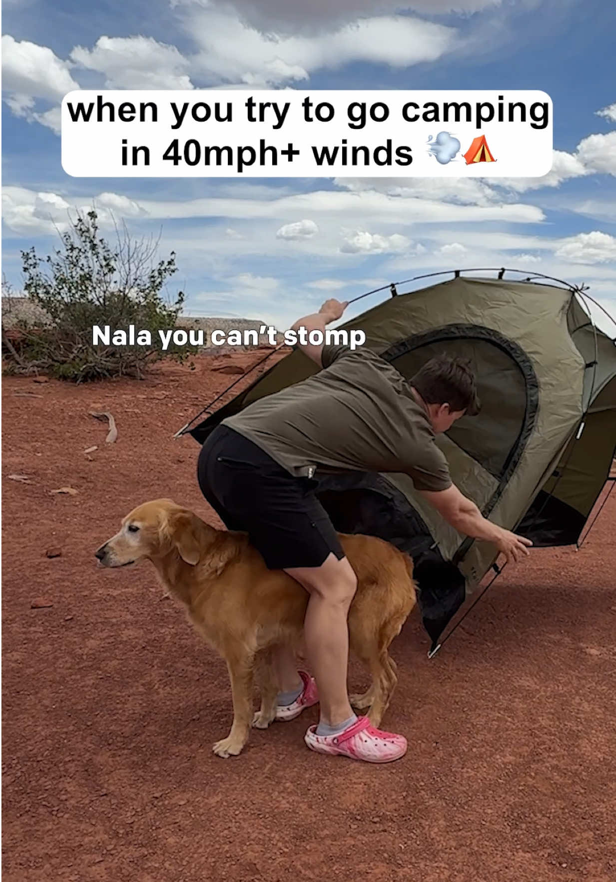 A post by @adventuringwithnala on TikTok caption: I would not suggest camping during a windstorm. Instead, use the @Tripadvisor | Travel Planning app to find and book a nice, cozy hotel for the evening, and try camping another day (when there aren’t 40mph winds). Your dog will thank you #TripadvisorPartner #Tripadvisor