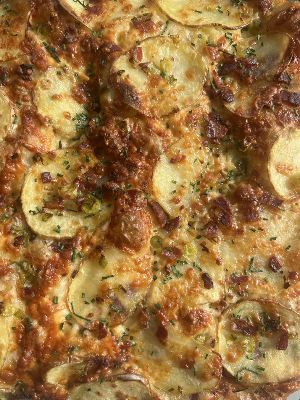 A post by @_lacebakes_ on TikTok caption: Happy International Potato Day, and thanks to the Potato Queen @Poppy O’Toole for bringing this very important holiday to my attention!  Potatoes and bread are a match made in carby heaven, am I right? Some of my favourite bread recipes featuring potatoes, in order of appearance: 🥔 @innout Animal Style Fries Focaccia  Focaccia au Gratin 🥔 Potato Chip Focaccia 🥔 Loaded Baked Potato Grilled Cheese Sandwich on Potato Chip Focaccia  🥔 Loaded Baked Potato Focaccia 🥔 Focaccia au Gratin 🥔 Potato + Rosemary Focaccia  Happy Spud Day all, have a carbtastic weekend!  L x #internationalpotatoday