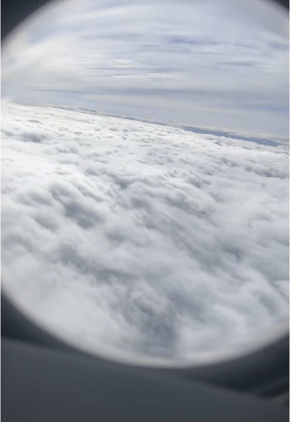 A post by @camrilynn on TikTok caption: 4 leg day🙃 #flightattendantlife