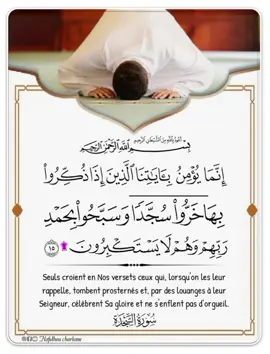 A post by @quran___3333 on TikTok caption: القارئ خالد الجليل  القرآن_الكريم قرآن كريم #سورة السجدة 