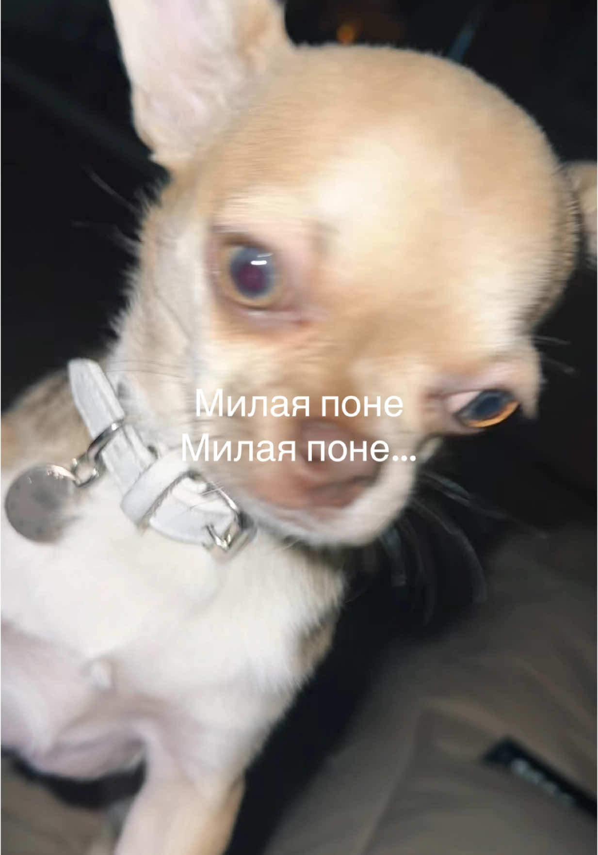 A post by @alyona_shvetz on TikTok