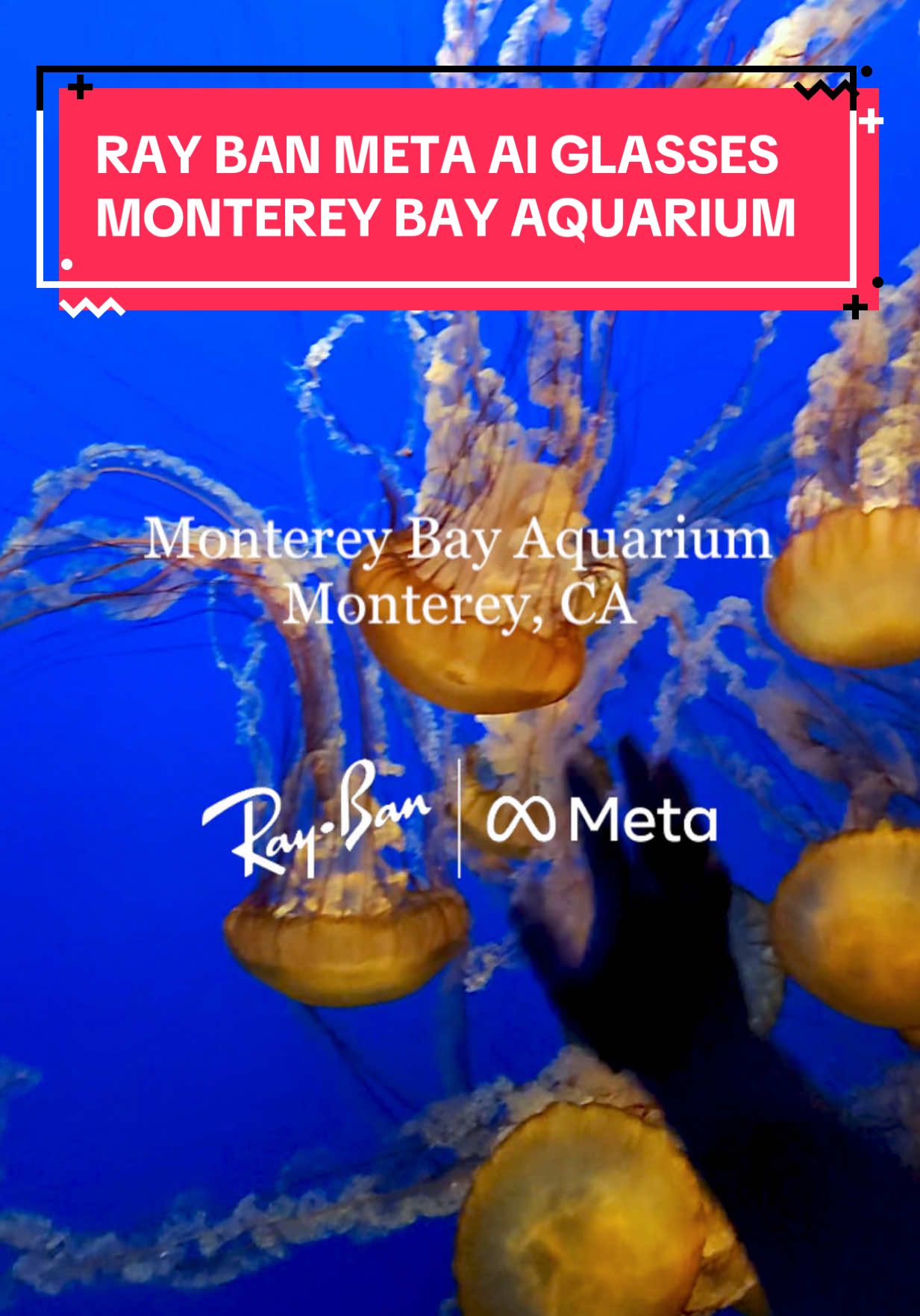 A post by @hapathunder on TikTok caption: Come with me to the @MontereyBayAquarium 🐟 Filmed using @raybanmeta AI Glasses 😎 Check them out with the link in my bio! #raybanmetaaffiliate #rayban #raybanmeta #hapathunder #tech #techtok #fypシ #blendedgtalks @Blended Group 