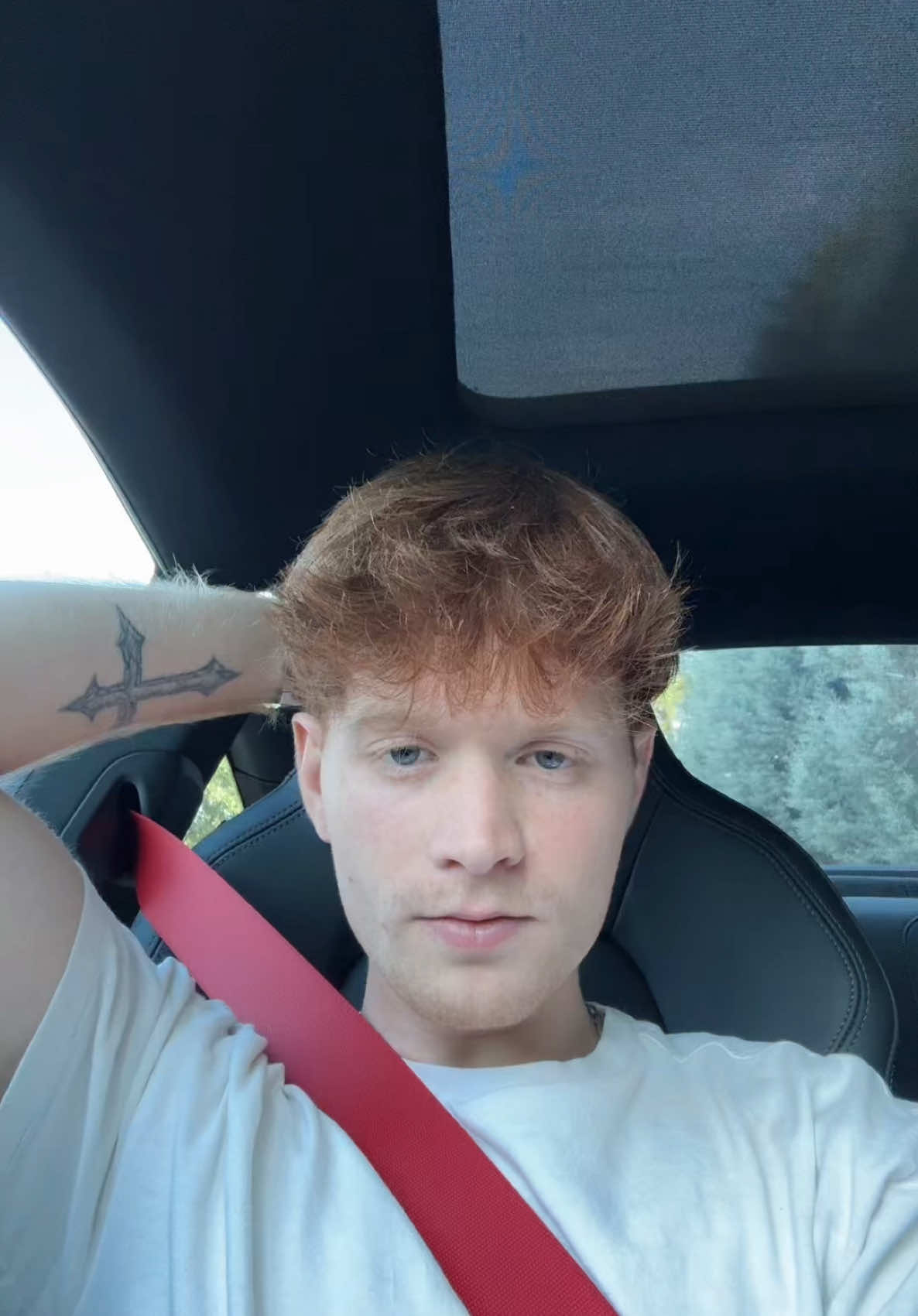 A post by @codyorlove on TikTok caption: lol #codyorlove 