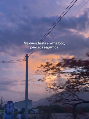 A post by @49fer73 on TikTok caption: #fypシ゚ #parati 