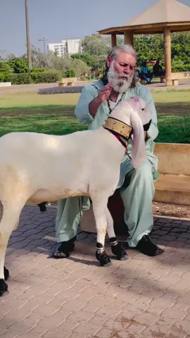 A post by @yousuf_pathan on TikTok caption: #tiktok #viral 