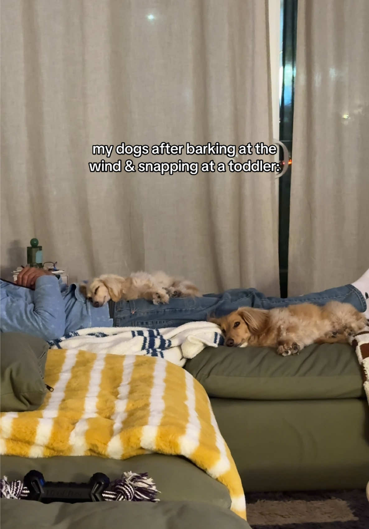 A post by @winston_da_ween on TikTok caption: ruff day 