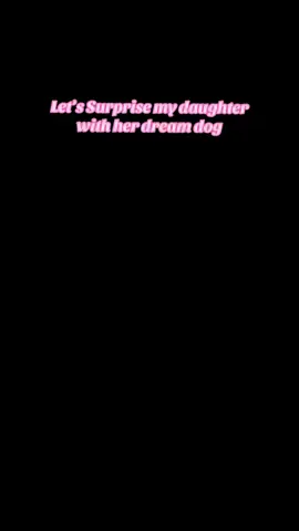 A post by @rheanna_can on TikTok caption: Happy early 13th birthday @𝒹𝒶𝓃𝒾ℯ𝓁𝒶 💖 #dachshund #dachsundpuppy 