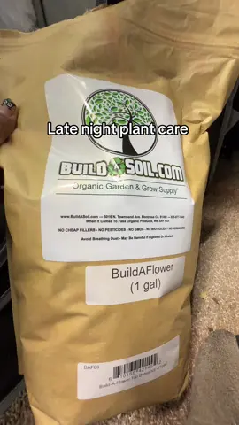 A post by @purplelungzz on TikTok caption: Late night plant care #growtok #purplelungz