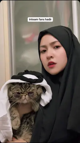 A post by @babyshimaofficial on TikTok caption: kitaorang Dah ready untuk konsert inteam!!   #babyshima #inteam #fyp #viral 