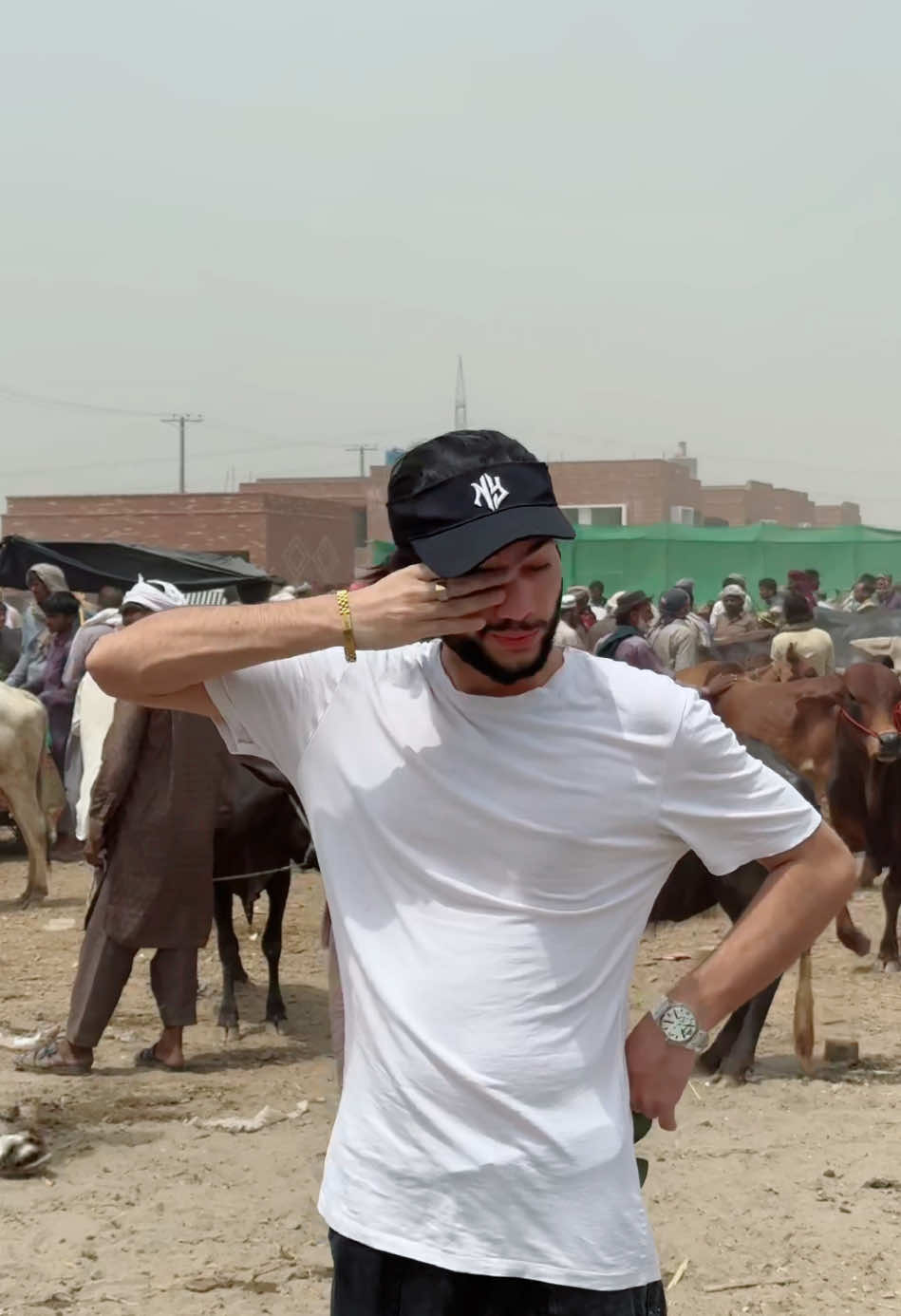 A post by @ali._.jutt900 on TikTok caption: Aj bohat garmi he cow mandi janwar dhondna itna asan nahi 🙂 #alijutt900 #alijutt_bag_wala 