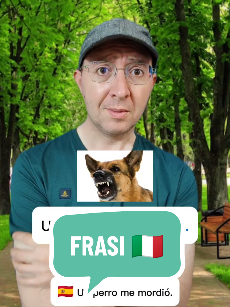 A post by @funandeasyitalian on TikTok caption: 🔴FRASI UTILI 🇮🇹 1️⃣UN CANE MI HA MORSO 🇬🇧A dog bit me.  🇪🇸Un perro me mordió.  2️⃣UN GATTO MI HA GRAFFIATO 🇬🇧A cat scratched me. 🇪🇸Un gato me arañó. 3️⃣UN PAPPAGALLO MI HA BECCATO 🇬🇧A parrot bit me. 🇪🇸Un loro me picó. 4️⃣UNA ZANZARA MI HA PUNTO 🇬🇧A mosquito bit me. 🇪🇸Un mosquito me picó. ❓Conoscevi queste frasi? 😄 Un abbraccio e a presto! 😉 Marco #lezioniditaliano #aulasdeitaliano #italianteacher #falaitaliano #palavrasitalianas #italianusefulphrases #frasiutili #italianlessons #clasesdeitaliano #corsoditaliano #italiancourse #cursodeitaliano #aprenderitaliano