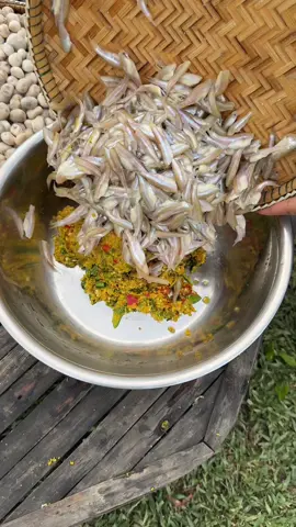 A post by @chhomsreypach on TikTok caption: ត្រីកប់ផ្សិតប៉ក់