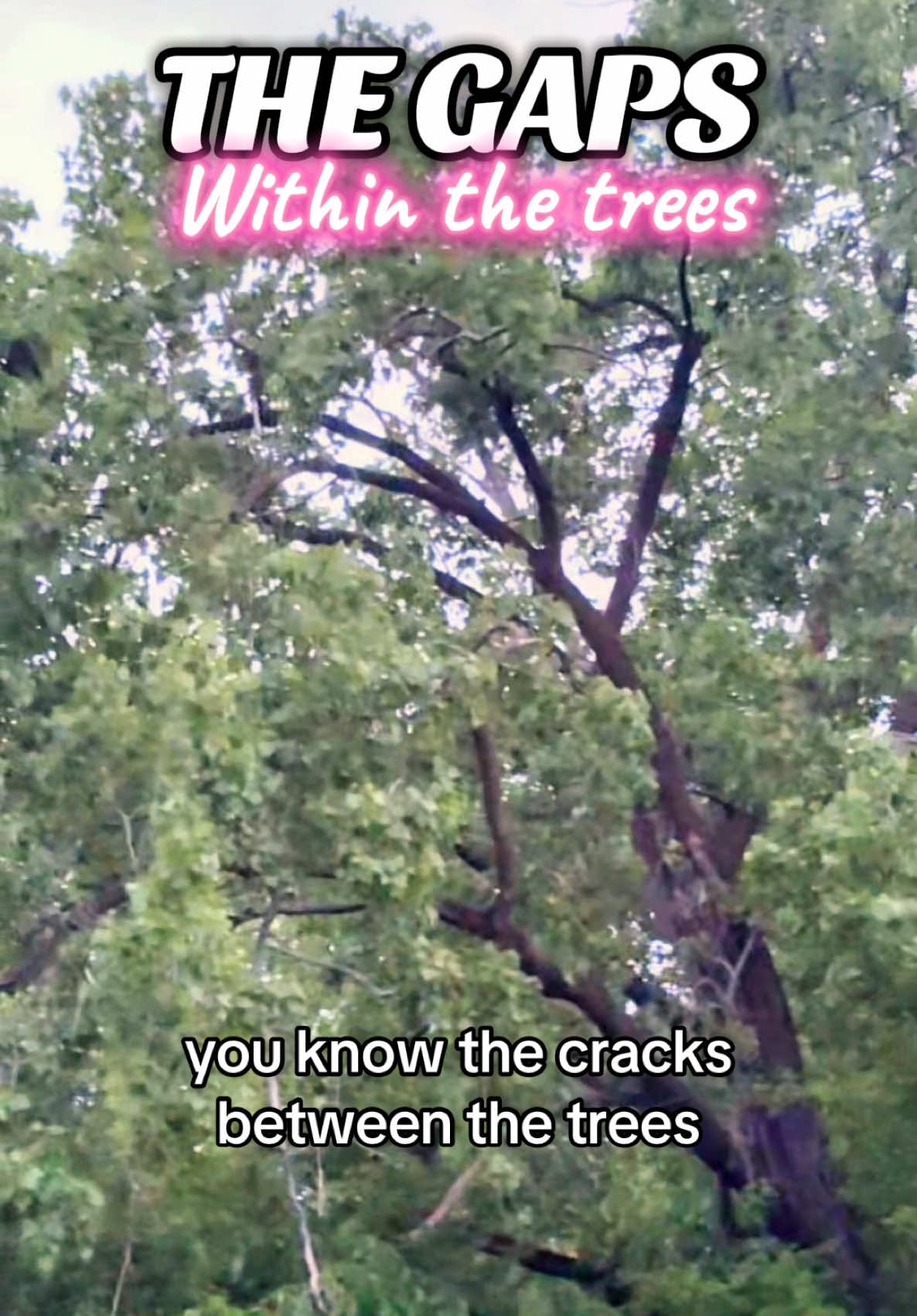 A post by @yami0214 on TikTok caption: Every time I see light peeking through the trees, I think about the window I used to stare out of when I was in a mental facility. We weren’t allowed to go outside, so I’d stare at the gaps between the trees… trying to see as far as I could. Back then, it felt like the closest thing to freedom. Now, anytime I feel low, I remember that view… And it pushes me to go outside, even if it’s just for a moment. I never regret it. #healingjourney #mentalhealthcheck #naturetherapy #sunlightthroughleaves #depressionawareness #youarenotalone 