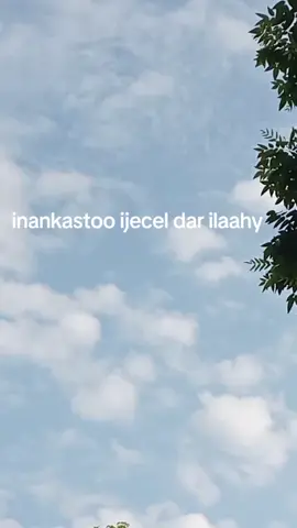 A post by @aragsannonaxriis1 on TikTok