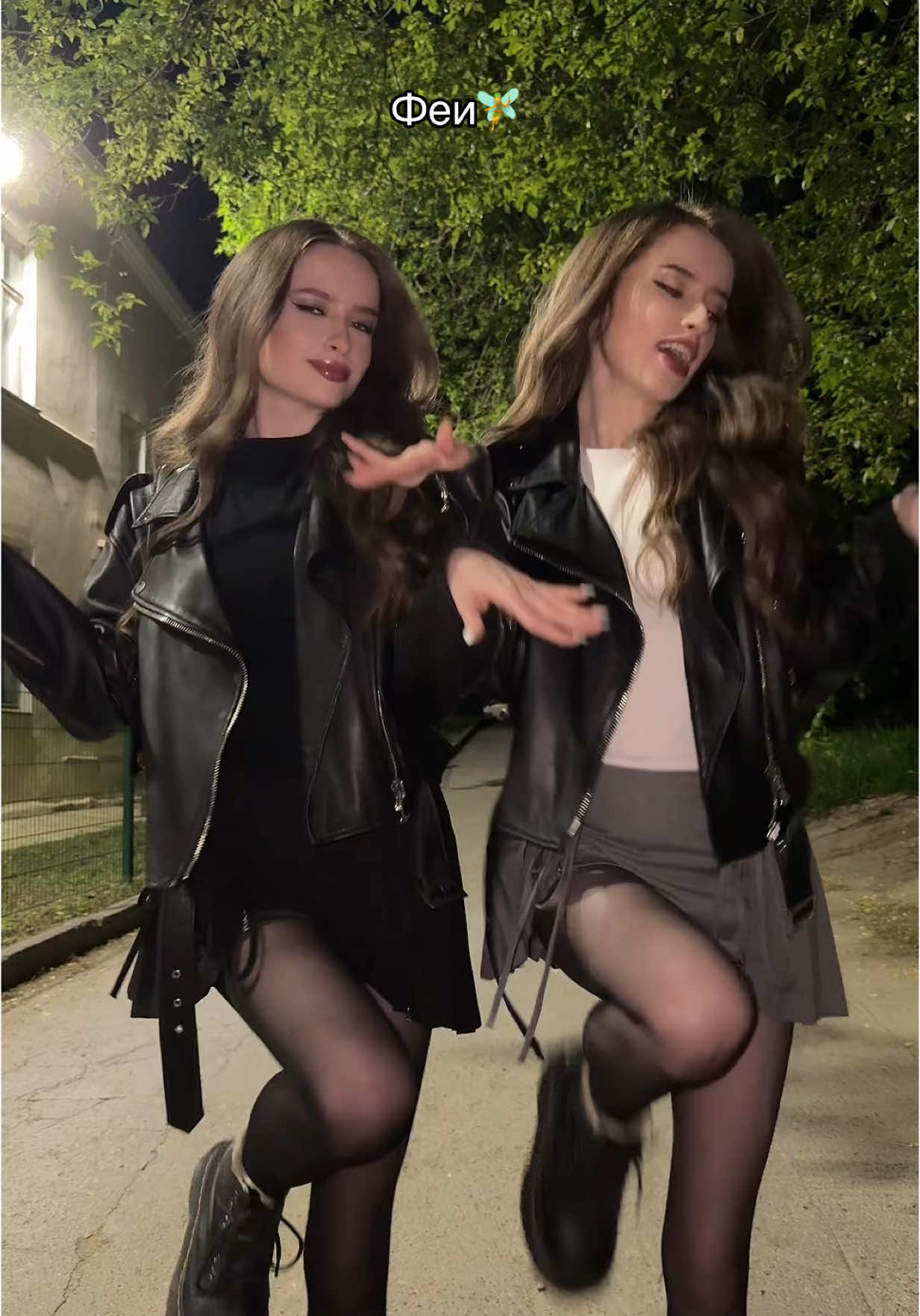 A post by @alinaandkristinaa on TikTok caption: 2 феи