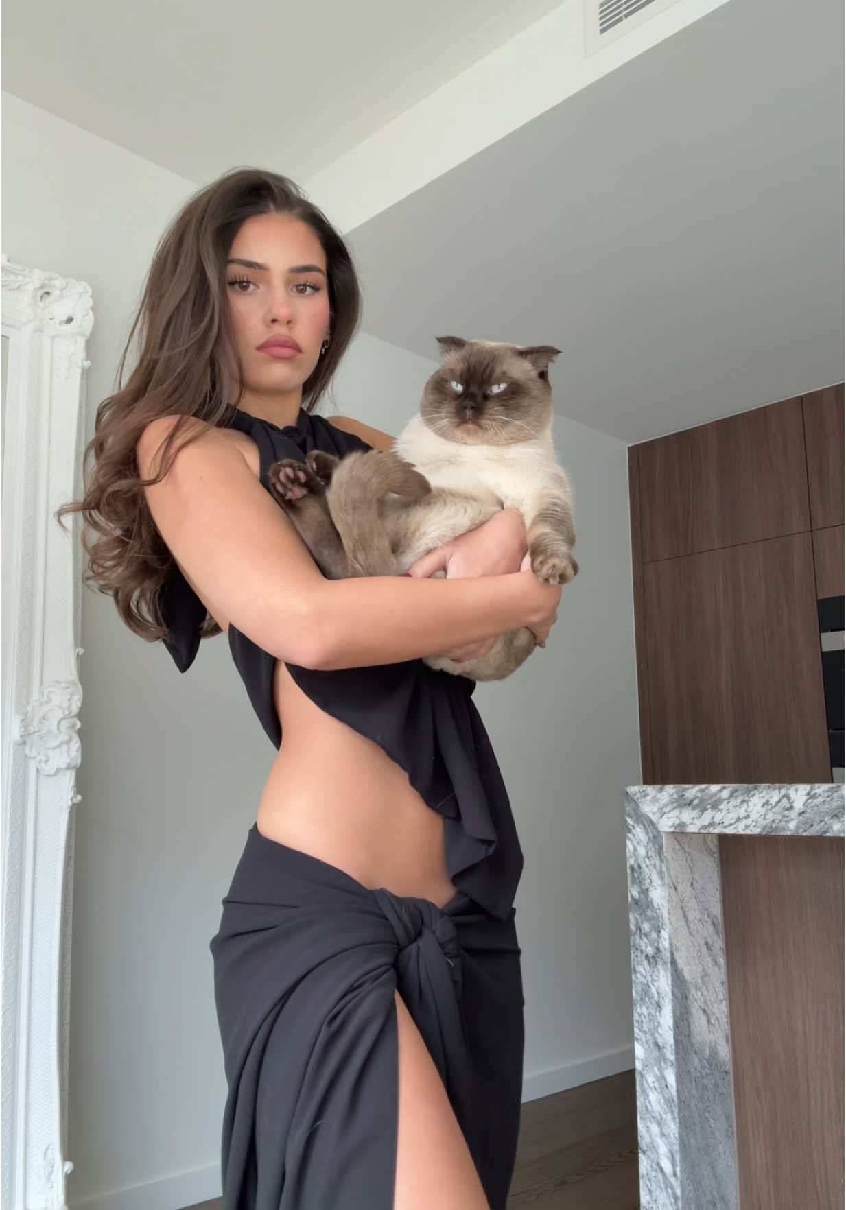 A post by @looooooooch on TikTok caption: Grumpy cat