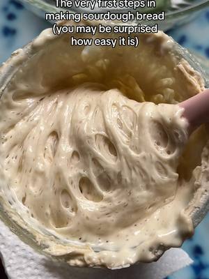 A post by @wheatculture on TikTok caption: The very first steps in making sourdough #sourdoughstarter #sourdough #sourdoughtiktok #sourdoughtok #sourdoughasmr #sourdoughcrunch #sourdoughbread #wheatculture #sourdoughclub 