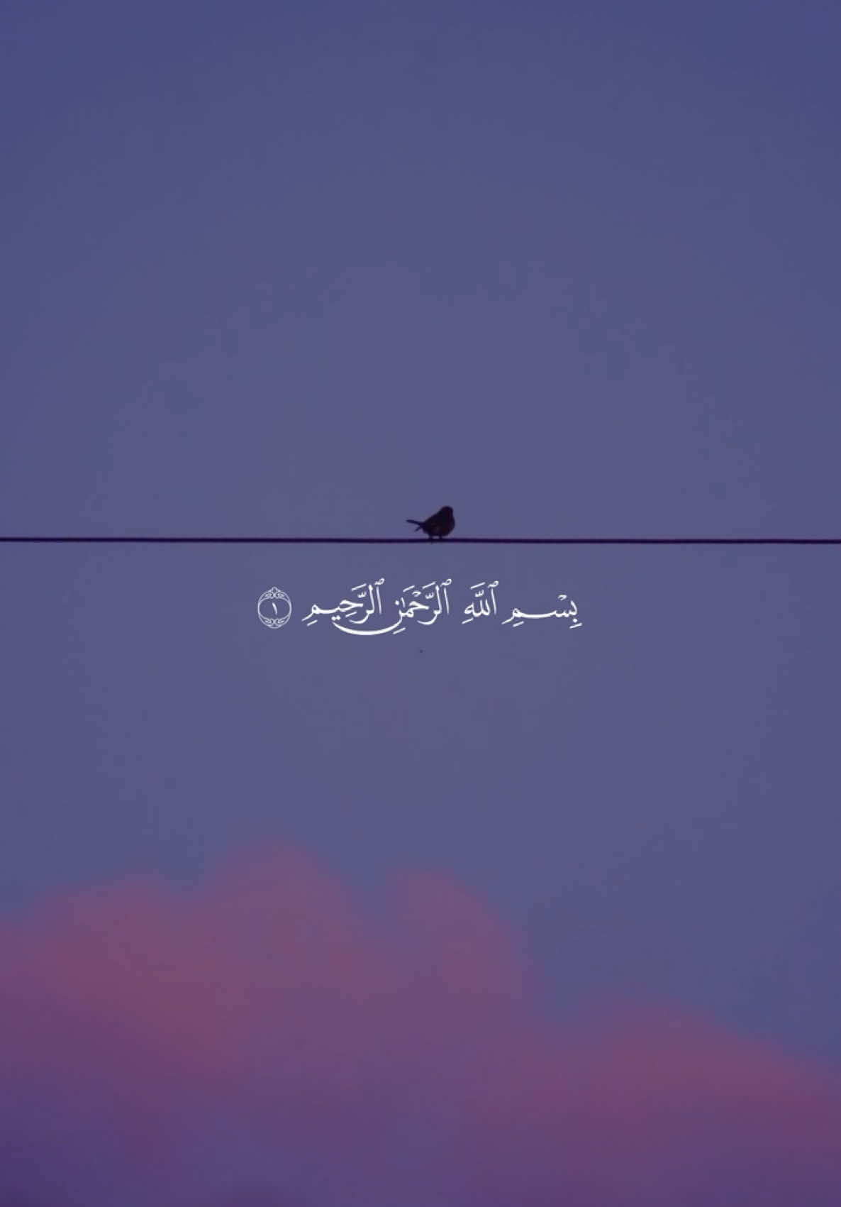 A post by @quran1377 on TikTok caption: سورة الفاتحة🤍#قرآن #قرآن_كريم #القرآن_الكريم #مشاري_العفاسي #قرآن_صلي_علي_النبي 
