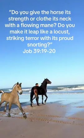 A post by @daniellondon08 on TikTok caption: #daniellondon08 #iesuschrist #spain #iesussaves #Godslove #christian #worlche #london #Usa #africa #eUrope #asian #life #oveyou #ove #live #viral #vide #earthse? #hellotiktok #london #heaven #worship #Wa #worshiper #worshipmusic #jesus #thank #kingofkings #nobodybutjesus E#pray#morE#morhing #prayforyou #praver #verse #spanish #loveyou #you #totallyme #verseoftheday #prison #inmate #oxford #math #atheist #tot #atheisttiktok #dr #science #john #johnlenox #debate #debat #choose #choosegod #easter #eastertime #moti #work #motivationalvideo #churchilltank #churchtiktok #churchill #church #horsesoftiktok #horses #horsesontiktok 