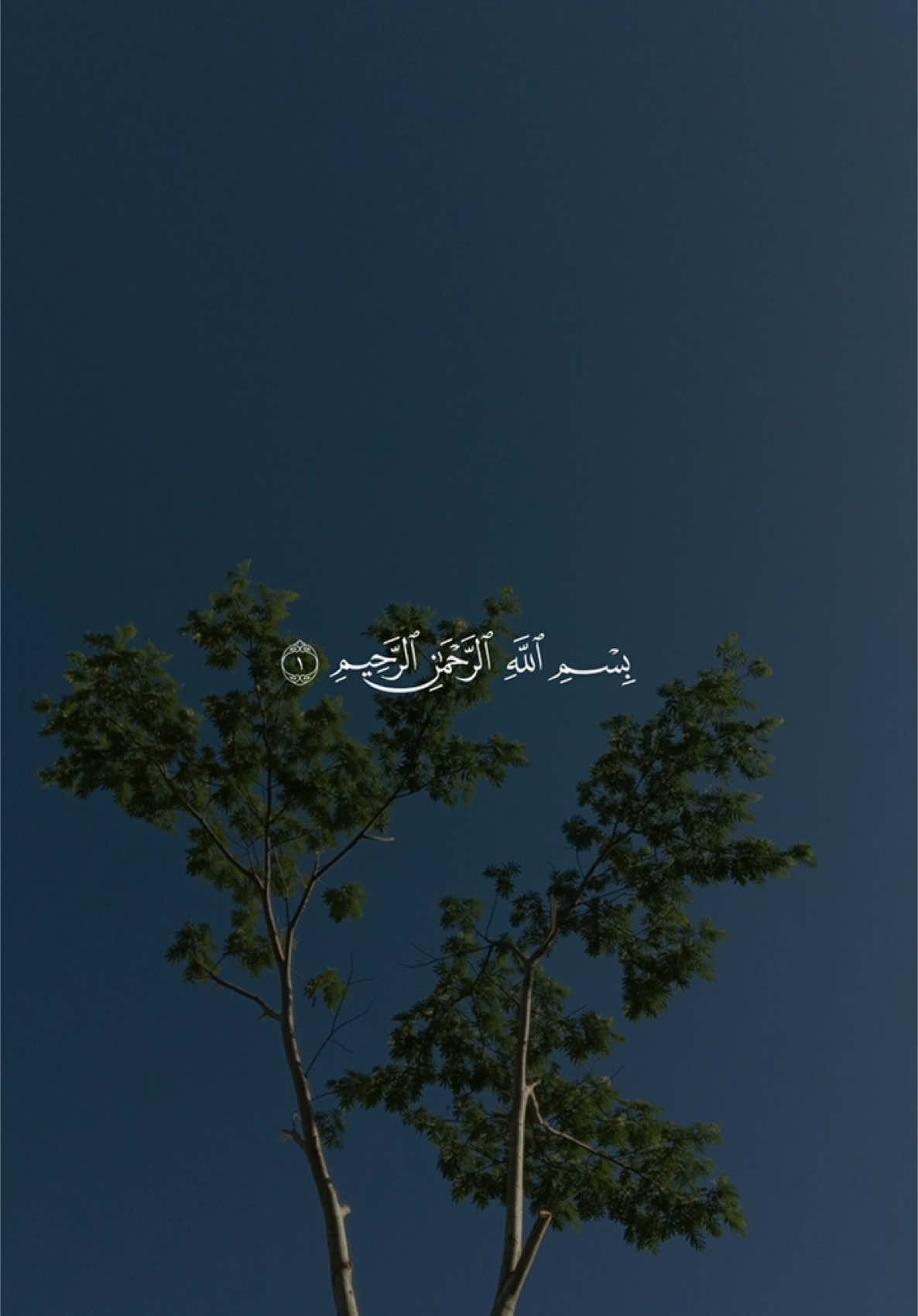 A post by @quran1377 on TikTok caption: سورة الفاتحة🤍#قرآن #قرآن_كريم #القرآن_الكريم #مشاري_العفاسي #قرآن_صلي_علي_النبي 