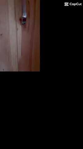 A post by @yeom7_17 on TikTok caption: #onthisday 