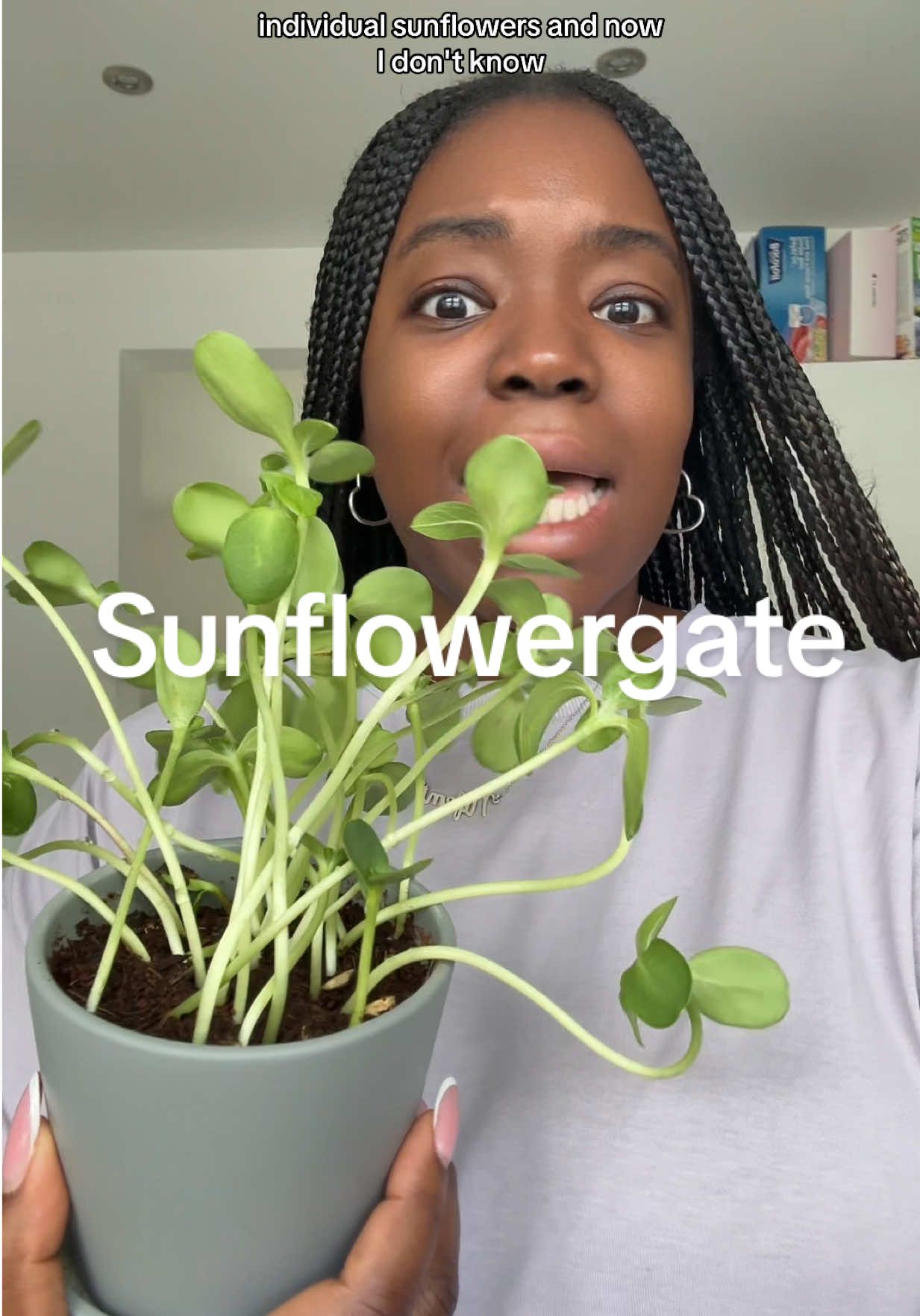 A post by @lolaandnifemi on TikTok caption: Give me a monstera or a philodendron and I’m good but I have no idea what I’m supposed to do with these sunflowers now 😭 #lolaandnifemi #helpme #sunflower #plantsoftiktok 