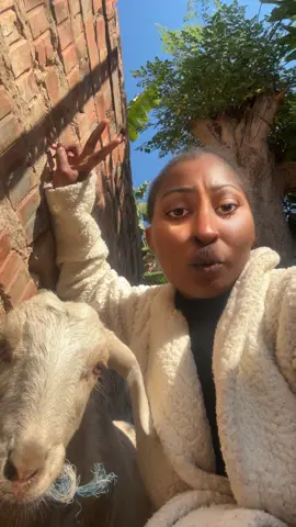 A post by @.lindokuhle_khoza on TikTok caption: im still grieving , ill be back .