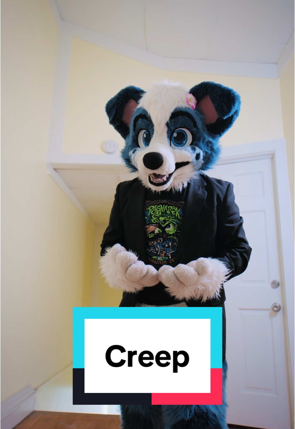 A post by @littlealphapup on TikTok caption: #furry #furryfandom #littlealphapup #creep 