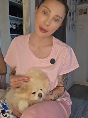 A post by @_ksysha_00 on TikTok caption: мой Пёсик ❤️