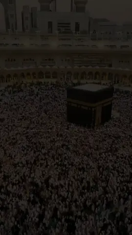 A post by @dalmar__8 on TikTok caption: وَأَتِمُّوا الْحَــــــــــــــــــجَّ وَالْعُمْــــــــــــــــــرَةَ لِلَّهِ ۚ       ســـــــورة البقــــــــــــــــــرة آية 196✅️ @🌻⚘️القران الكريم✨️🌻  صلاح بوخاطر✔️ Salah bukhatir 🌻❤️ #القران_الكريم #quran #dalmar8 #muqdishotiktok #somaalitiktok #ayatulkursi💕 #foryoupage 