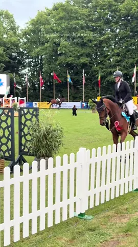 A post by @philinegroepper on TikTok caption: Once in a lifetime horse!❤️