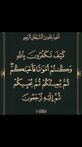 A post by @quran___3333 on TikTok caption: الشيخ ياسر الدوسري ☝🏻☝🏻☝🏻😍🥰🤲💯👑 القرآن_الكريم #سورة البقرة ٢