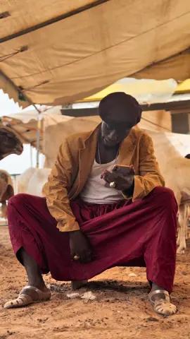A post by @diopnostress1 on TikTok caption: Kouné Sénégal nékhoul amo connexion 😂🥰🇸🇳 @Mia Guisse @Momar Business Attitude 