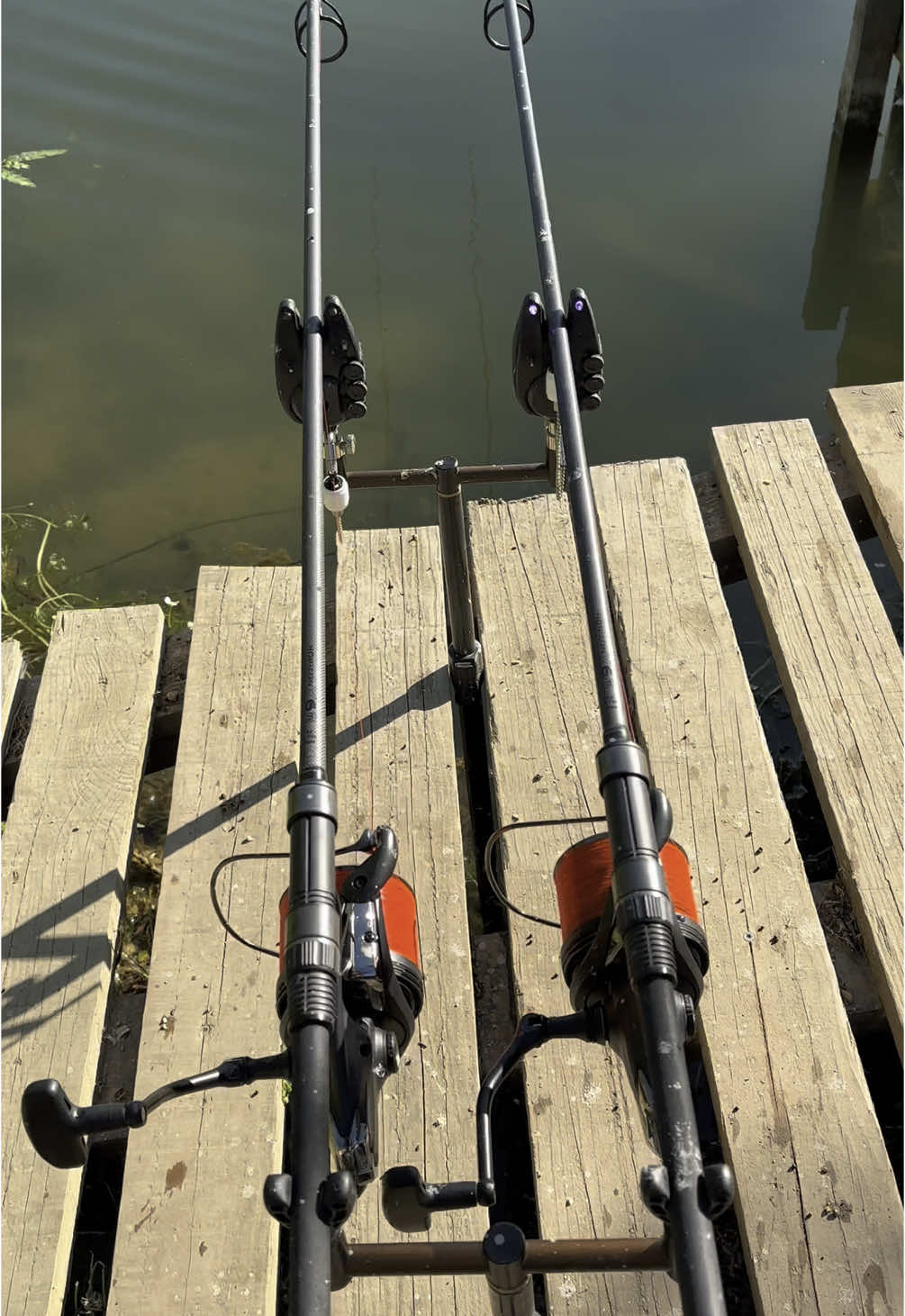 A post by @julien_josselin_scale on TikTok caption: Quand les fishs ne te laissent pas le temps de poser la came ! 😅 ▪️ #bigfish #bigfishing #carprun #carpe #carp #carpfishing #frenzyfishing #angler #pecheur #fish #bigfish #bigone #poisson #lakefishing #lake #savage #wildfishing #springfishing