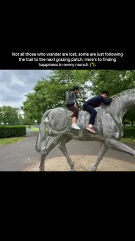A post by @_diveeya on TikTok caption: Riding horse can be everyone’s dream #foryoupage❤️❤️ #dream #ridinghorse 