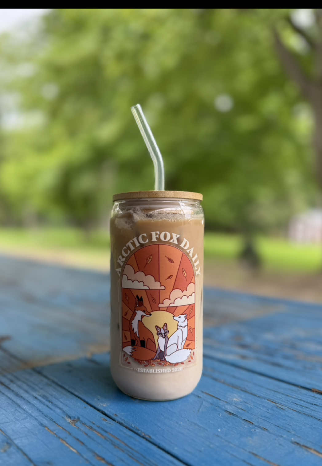A post by @arcticfoxdaily on TikTok caption: When your latte’s a fraud but your cup supports wildlife. 🙌🏼  #rescue #wildliferehab #fox #wolf #wolfdog #nonprofit #support #animals
