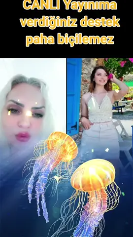 A post by @tullayyy2 on TikTok caption: Cengiz:0434, CANLI Yayınımda gösterdiğin inanılmaz destek için teşekkür ederim. Daha iyi CANLI Yayın içerikleri oluşturmaya devam edeceğim! @Cengiz:0434 #tiktoklive #livehighlights #livegift #beachcabin #glowingjellyfish 