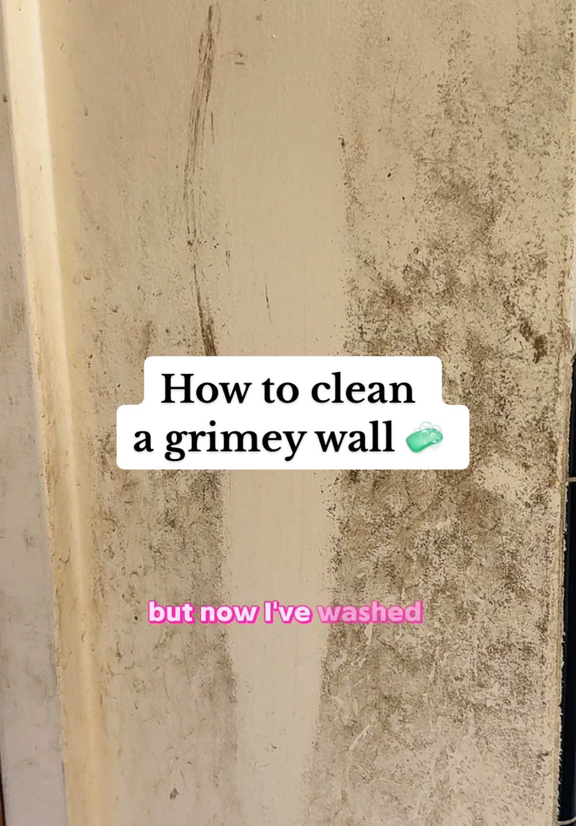A post by @nottheworstcleaner on TikTok caption: This is literally one of the most underrated tools in my cleaning kit 🙂‍↕️🧼 @Scrub Daddy  #cleaningtools #cleaningproducts #bathroomcleaning #scrubdaddypartner 
