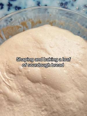A post by @wheatculture on TikTok caption: Happy June! Shaping and baking a loaf of sourdough bread  #sourdoughstarter #sourdough #sourdoughtiktok #sourdoughtok #sourdoughasmr #sourdoughcrunch #sourdoughbread #wheatculture #sourdoughclub 