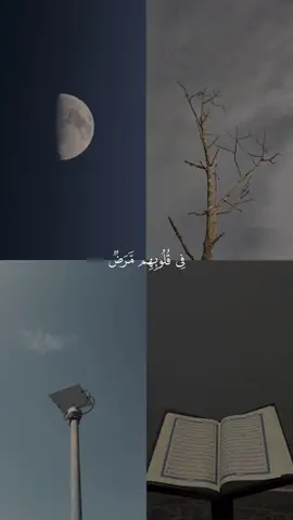 A post by @quran1377 on TikTok caption: تدبروا الآيات🤍#قرآن #قرآن_كريم #القرآن_الكريم #مشاري_العفاسي #قرآن_صلي_علي_النبي 