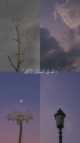 A post by @quran1377 on TikTok caption: تدبروا الآيات🤍#قرآن #قرآن_كريم #القرآن_الكريم #محمد_صديق_المنشاوي #قرآن_صلي_علي_النبي 