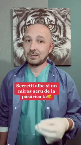 A post by @viktor.ivanovik on TikTok caption: #amintire 