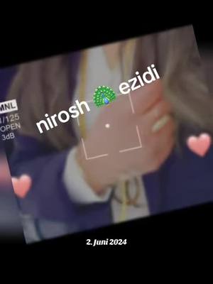 A post by @kajaezidinirosh on TikTok caption: #erinnerung 