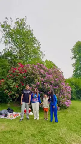 A post by @shreyashiwakotikh on TikTok caption: #draftvideo #nepalitiktok #nepalimuser #fypシ #❤️ 