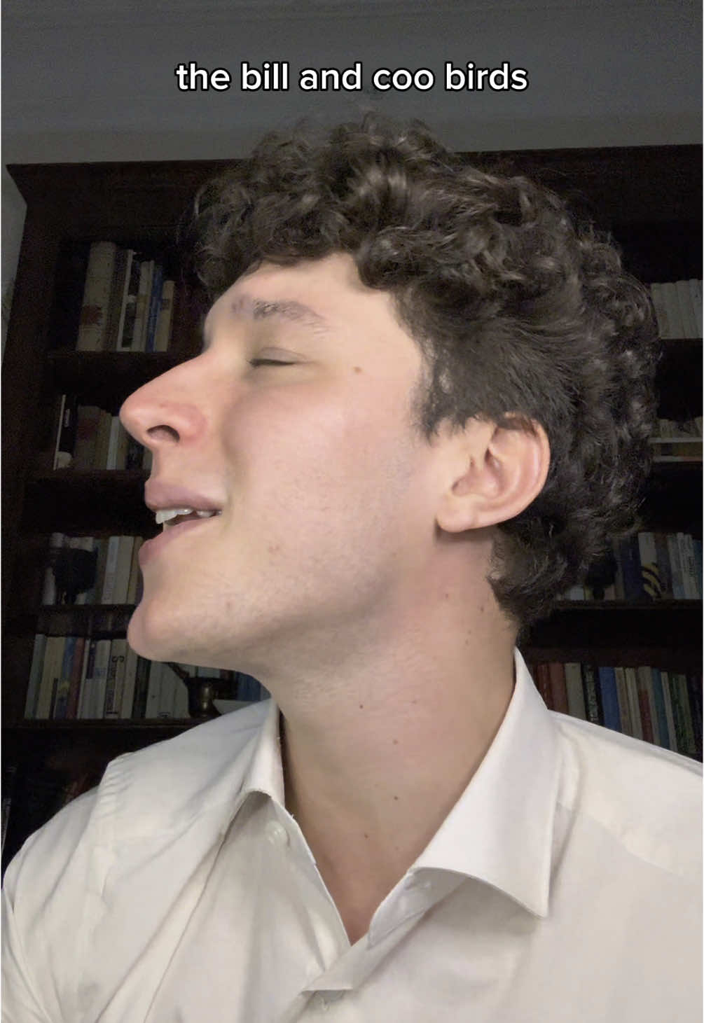 A post by @greg_fountaine on TikTok caption: Pretty little song✨ #fyp #perte #parati #music 