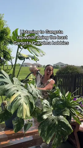 A post by @plantswithkrystal on TikTok caption: They did say music makes our plants grow faster! IB: @Joshua Grace🍯 #plantpeople 