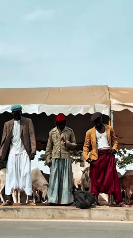 A post by @diopnostress1 on TikTok caption: Kouné Sénégal nékhoul amo connexion 😂🥰🇸🇳
