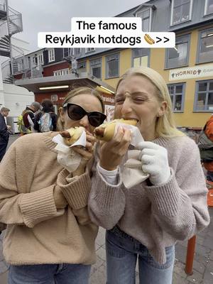 A post by @hmddancer722 on TikTok caption: 10\10 recommend 👏🏼 Topped with their signature crunchy onions, mustard, mayo and ketchup! #icelandfinds 