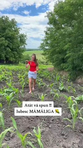 A post by @.nicoll1 on TikTok caption: Prășim 🙈#fyp 