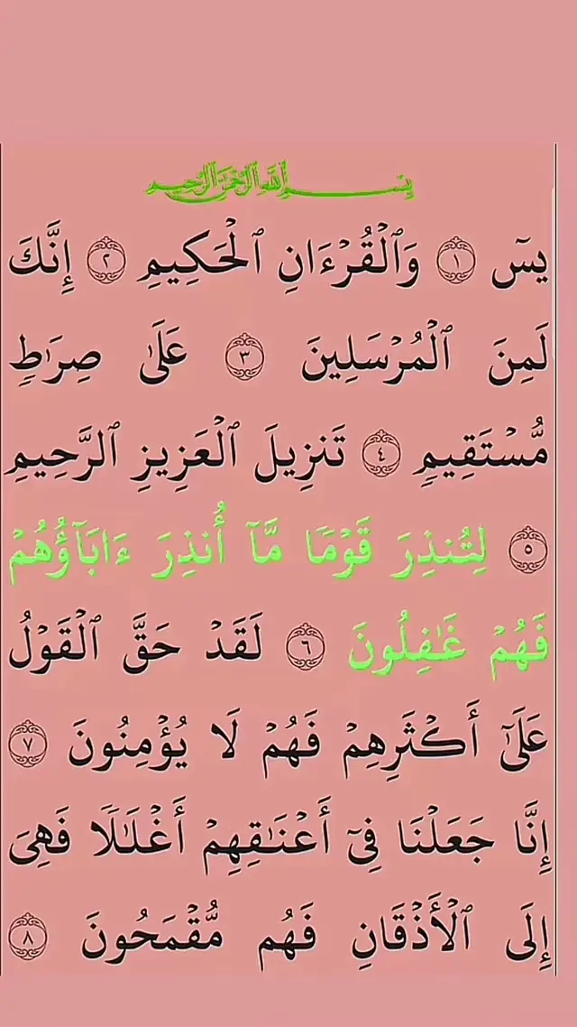 A post by @modrqicsulah on TikTok caption: #تلاوات #القران_الكريم #اكسبلور_explore #اكسبلور #الله_اكبر #الله #اللهم_صل_وسلم_على_نبينا_محمد #استغفرالله #quran_alkarim #ماشاءالله_تبارك_الله #muslim 